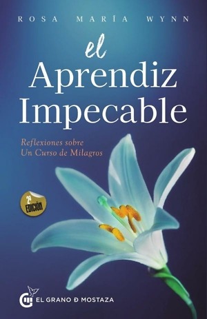 rosa maría wynn el aprendiz impecable portada